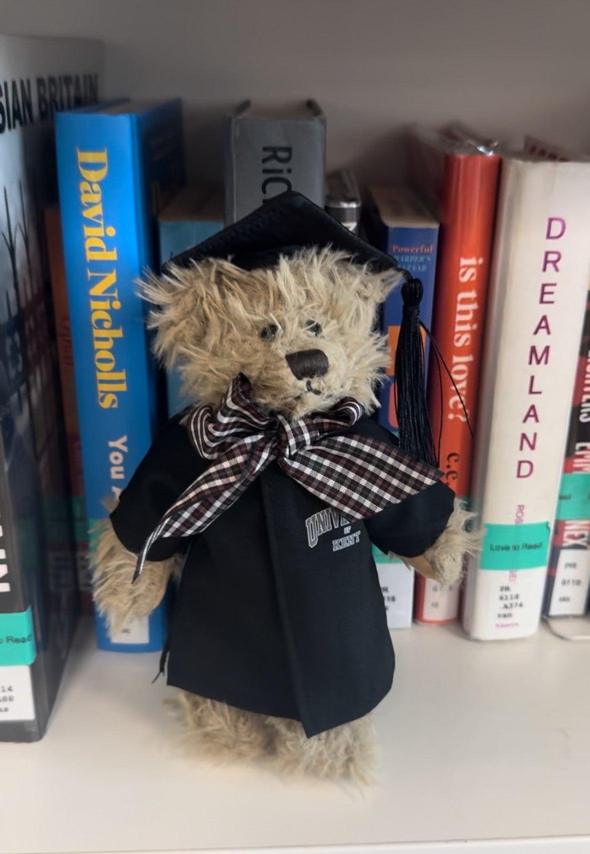 Windsor Graduation Bear (20cm)