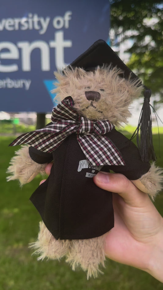 Windsor Graduation Bear (20cm)